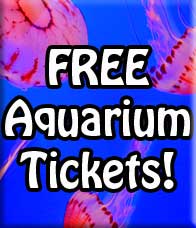 Monterey Bay Aquarium Coupons do exist and I can help you find them! Get Free Monterey Bay Aquarium Tickets too! Now that's a discount! 