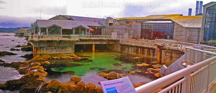 The Monterey Aquarium sits right on the water on the Monterey Bay.  Some of the best views of the bay can be had on the Monterey Aquarium Deck!