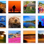 Monterey Photo and Picture Gallery