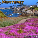 Purple Carpet in Pacific Grove is one of Monterey's Best!!!